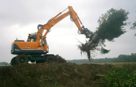 10882167_752066971514647_6530826123798192301_n